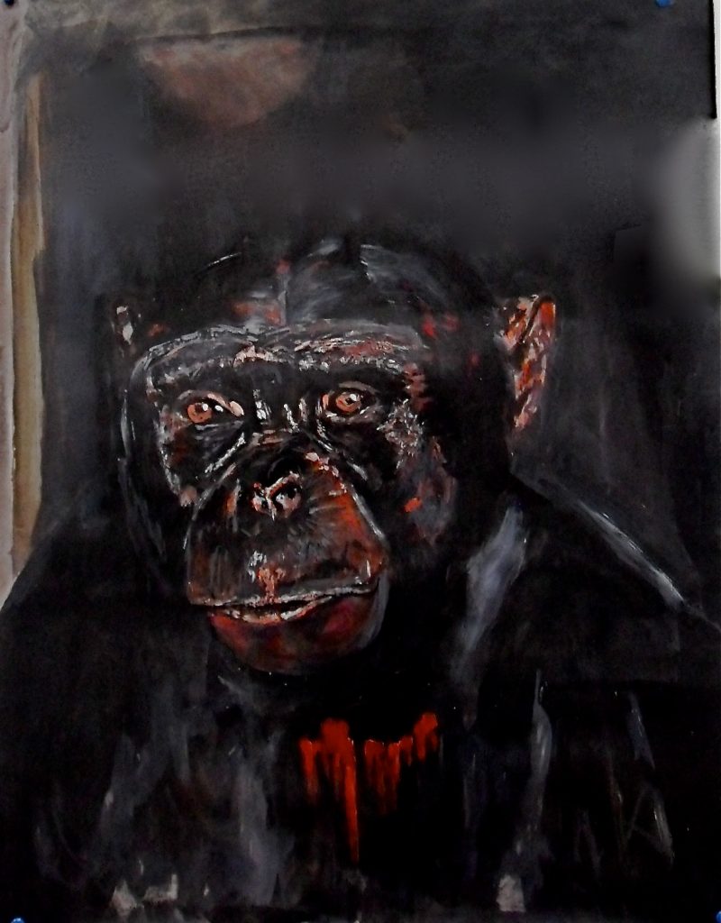 Portrait de gorille Are we not men ? Acrylique sur papier / acrylic on paper 65 x 50 cm, par Stanmac 2016